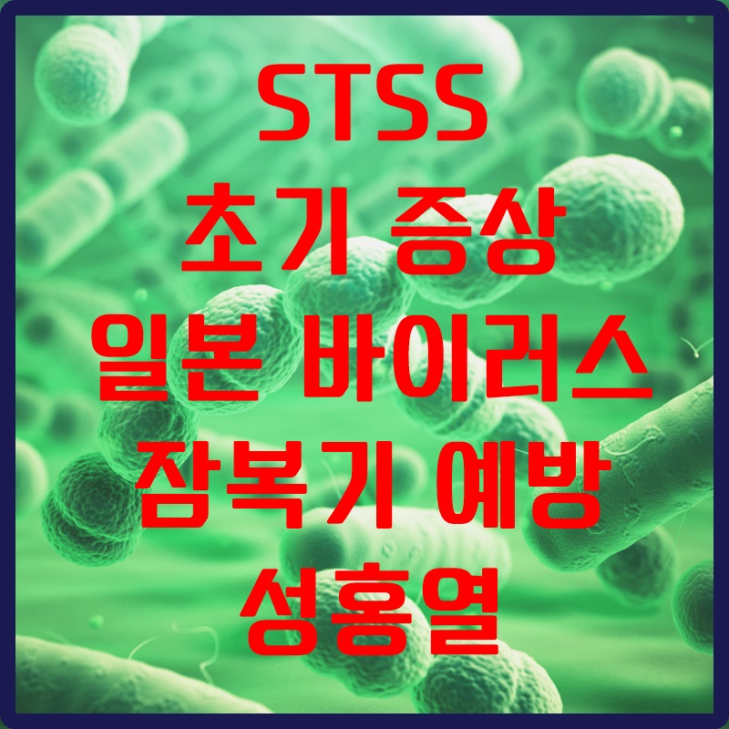 Stss 초기 증상 일본 바이러스 잠복기 예방 성홍열 세상의 모든정보